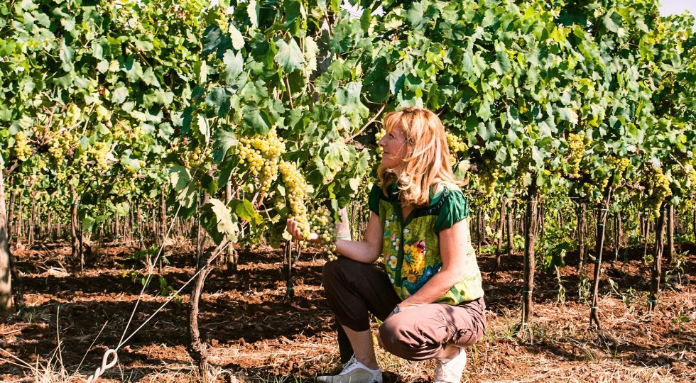 Vino vegano, ai Castelli Romani è realtà dal 2022 con CantinAmena della famiglia Mingotti