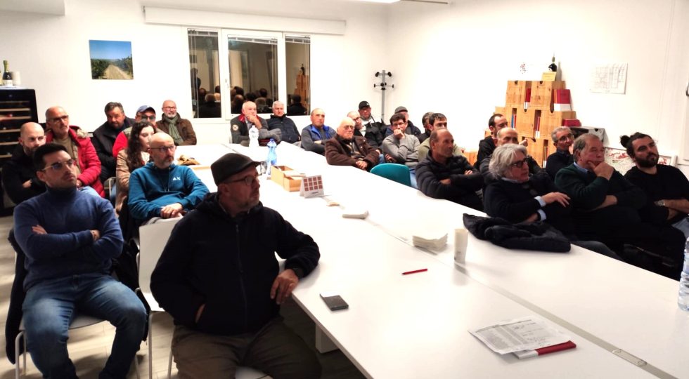 Colomba Bianca, formazione in vigna per raggiungere gli obiettivi 2025