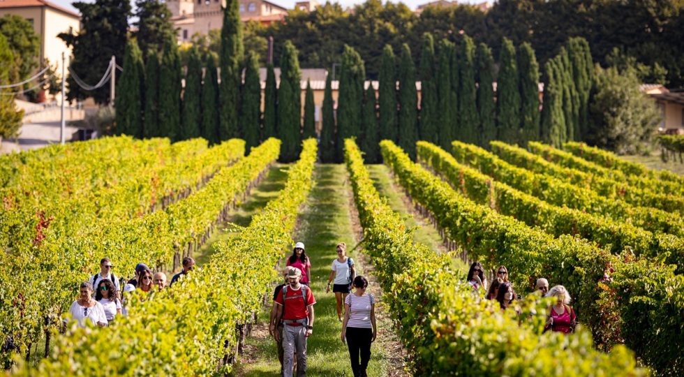Poca interazione ed elasticità di orari tra le principali barriere allo sviluppo dell’enoturismo