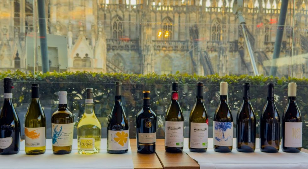 Tutti pazzi per il Pecorino: Tollo in giro per il mondo per promuovere le sue 10 versioni