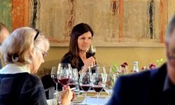 Valpolicella, dalla vecchia tenuta di caccia degli Scaligeri il vino di Torre di Terzolan