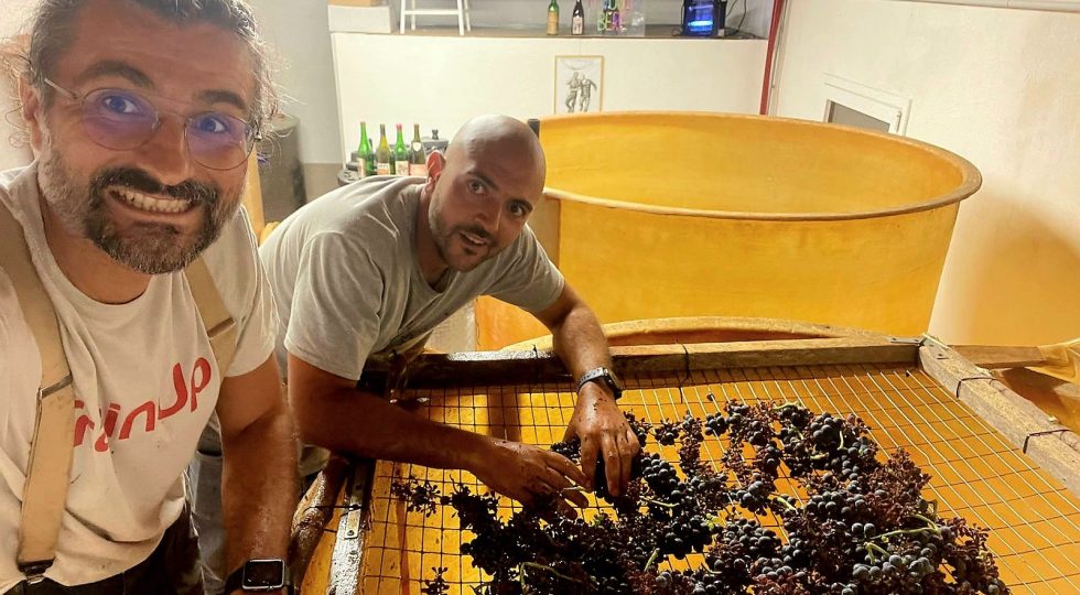 Agricola Vinb: due nuovi amici e l’idea di una viticoltura rigenerativa. “Così, siamo tornati in Sicilia a fare i contadini”