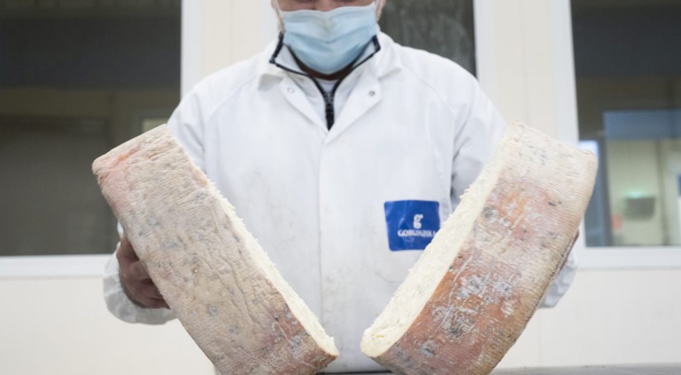 Gorgonzola da record: nel 2024 il maggior numero di forme di sempre