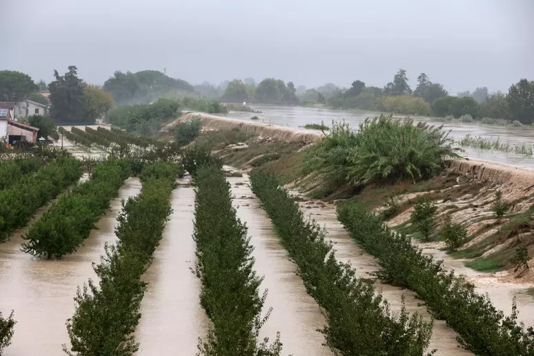 Maltempo, Di Marco: “Subito verifica dei danni e attivazione dello stato di calamità per sostenere l’agricoltura e le aree interne in Commissione Ambiente e Territorio”