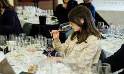 Contrade dell’Etna: a Randazzo 80 cantine, talk e masterclass