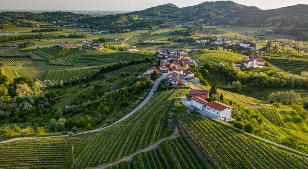 I confini, le guerre e i territori: Marjan Simcic, dal 1860 il vino legato alla storia