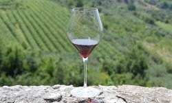 “Napoli in Rosso Amarone”, i vini della Valpolicella in degustazione sul mare