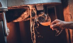 Produzione mondiale di vino in lieve aumento, l’Italia è prima