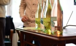 G.Low, i nuovi vini a bassa gradazione alcolica di Cantine di Verona