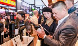 Vinitaly Chengdu, 40 aziende italiane con 500 etichette