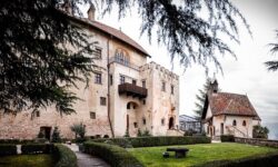 Per Vinaltum 2026 già pronte oltre 60 aziende. A Bolzano due giorni tra masterclass e wine-talk