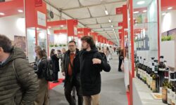 Dazi, le cantine dell'Irpinia e del Sannio a caccia di mercati alternativi agli Usa