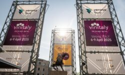Vinitaly 2026, tutti i premiati italiani e internazionali