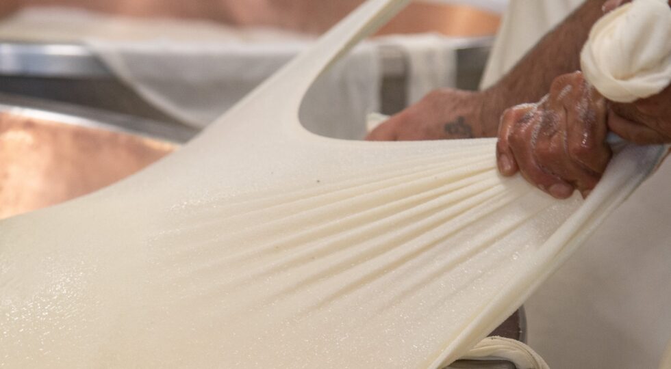 Il parmigiano reggiano va in scena a Caseifici aperti con show cooking dello chef Persegani