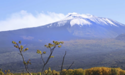 Etna Doc, al Vinitaly 46 aziende e circa 400 vini: la più ampia partecipazione mai registrata fuori dalla Sicilia
