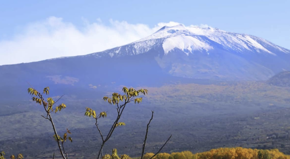 Etna Doc, al Vinitaly 46 aziende e circa 400 vini: la più ampia partecipazione mai registrata fuori dalla Sicilia