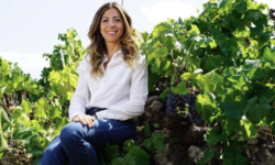 Tenute Bosco, al Vinitaly la presentazione delle nuove annate