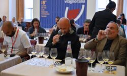 VitignoItalia, tutto pronto per la 20esima edizione che tocca quota 250 aziende e 2mila etichette