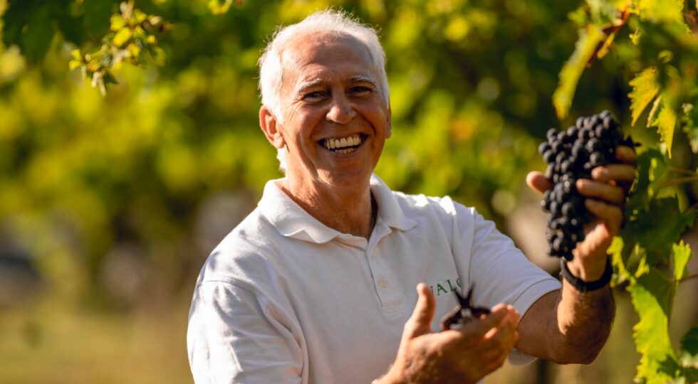 “Chiamami quando piove”, i vini di Valori verso la produzione non filtrata