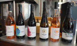 Cantine Benvenuto al Merano WineFestival Calabria con Mare, Zibibbo e Orange