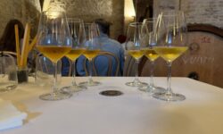 Il Pecorino e la sua evoluzione culturale, da San Lorenzo con una verticale si è tornati indietro di 18 anni