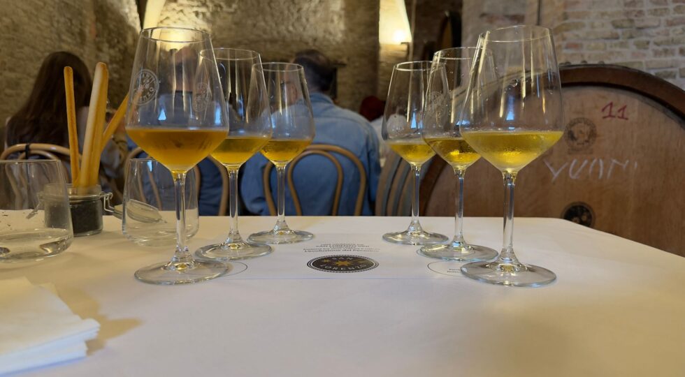 Il Pecorino e la sua evoluzione culturale, da San Lorenzo con una verticale si è tornati indietro di 18 anni