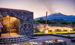 Cantine Aperte da Tenute Nicosia, un’edizione all’insegna del vino sostenibile, del cibo Slow e degli spumanti dell’Etna