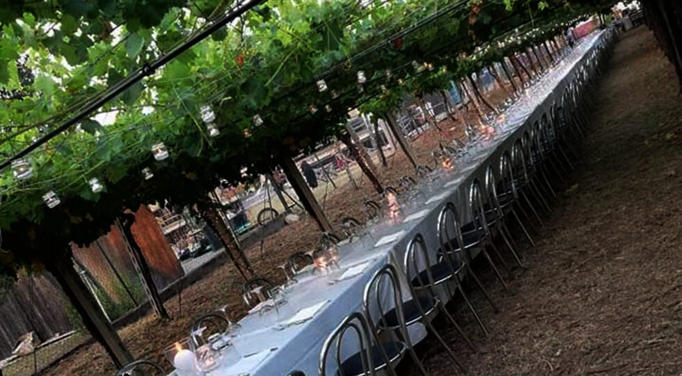 Calici di Stelle in Abruzzo. Cena in vigna sotto la pergola da Storiche Cantine Bosco
