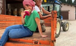 Cantine Aperte in Vendemmia, dal vigneto alla tavola con le merende tipiche a km zero