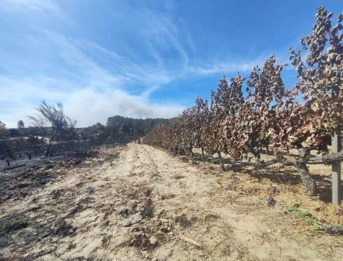 Gli incendi divorano la Galizia, in fiamme anche i vigneti simbolo della viticoltura eroica in Europa