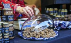 A Sant’Angelo in Vado la 62esima Mostra nazionale del tartufo bianco