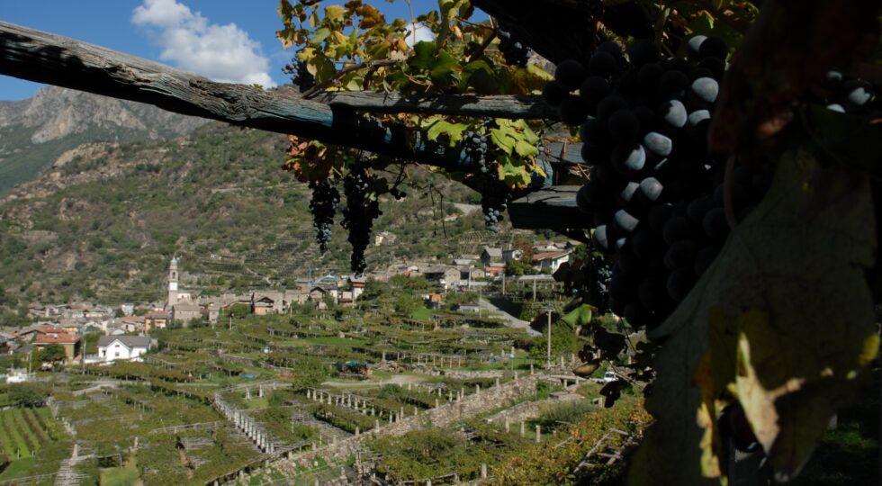 A Carema la 73esima Festa dell’Uva e del Vino