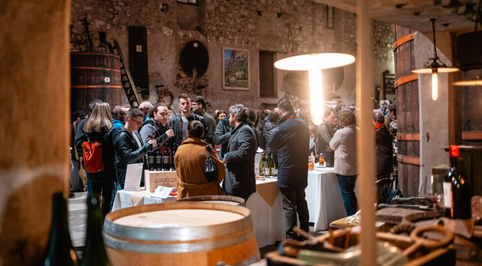 Incontri Rotaliani 2025, tra Teroldego e Syrah la quarta edizione intreccia gusto, cultura e convivialità