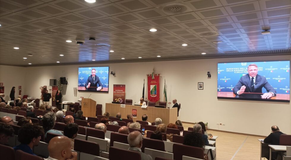 Lollobrigida saluta le celebrazioni per i vent’anni della Dop Zafferano dell’Aquila: “Simbolo della sovranità alimentare”