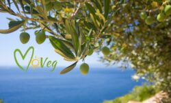 “MoVeg”, a Mosciano Sant’Angelo il primo Festival della sostenibilità e del vivere consapevole