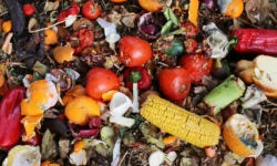 In Italia scende lo spreco di cibo ma resta sempre sopra la media europea