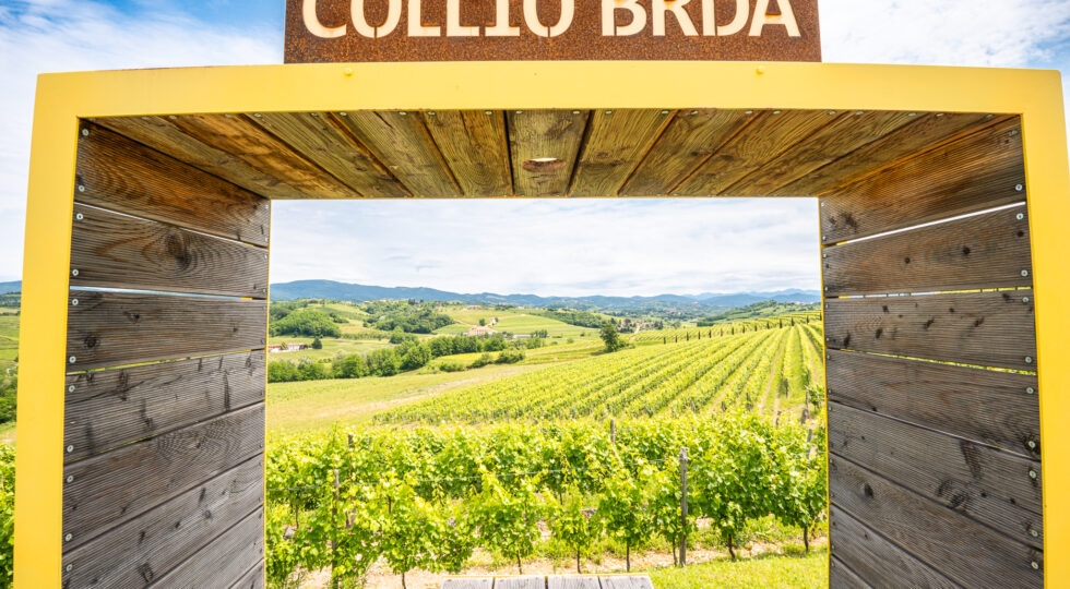 I vini del Collio sono i più amati dai consumatori e il 40% di enoturisti vorrebbe visitare il territorio
