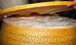 “Grana” non è un termine generico e può essere usato solo dalla Dop padana. Sentenza a Venezia