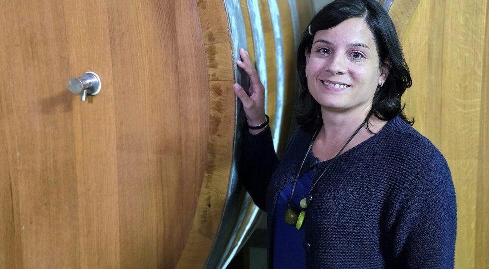 Valdibella, vini e tanto altro nella Val di Mazara. Una storia agricola e sociale che squarcia il buio e scuote le coscienze