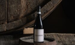 Masciarelli, ecco la limited edition di Villa Gemma ispirata all’opera di Anotherview