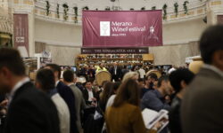 Merano WineFestival torna dal 6 al 10 novembre, è l’anno della 35esima edizione