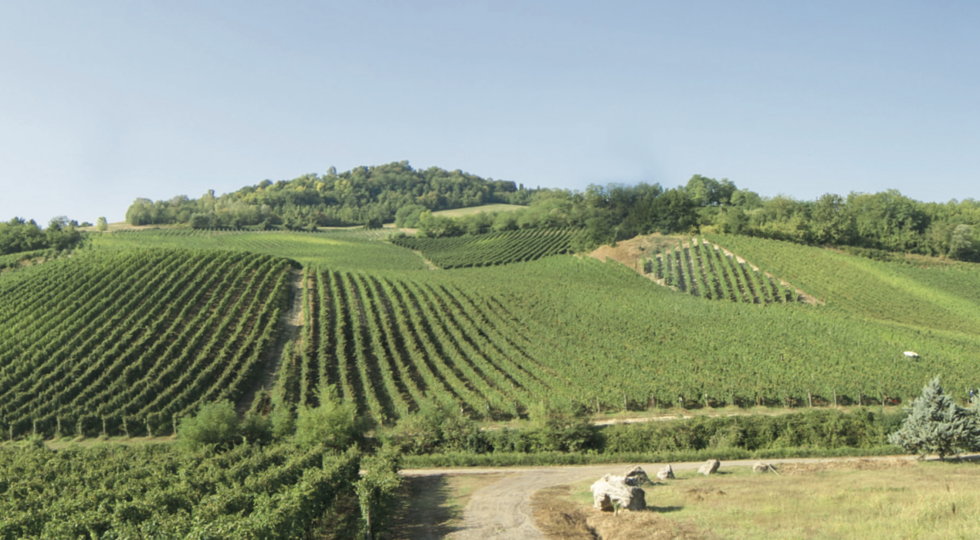 Oltrepò Pavese, Ca’ di Frara al Merano WineFestival. Premiate due etichette simbolo