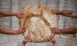 A Reggio Calabria debutta Slow Grains, l’evento che celebra i cereali tradizionali e il pane del futuro