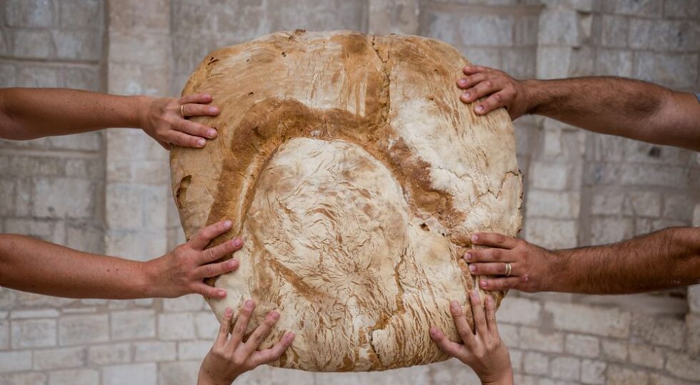 A Reggio Calabria debutta Slow Grains, l’evento che celebra i cereali tradizionali e il pane del futuro