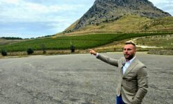 Sulle orme di Calatrasi ecco Domini Mediterranei, le vigne in Sicilia si spingono fino a mille metri
