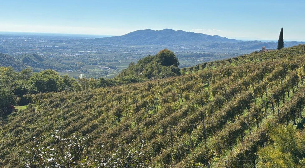 Convention d’Autunno Città del Vino, dal 13 al 15 novembre sulle colline del Prosecco