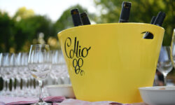 Nel Collio la vendemmia più anticipata degli ultimi vent’anni e il Consorzio si prepara a un autunno di eventi