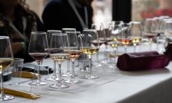 I bilanci delle imprese del vino. Le piccole soffrono, alle grandi più della metà dei ricavi
