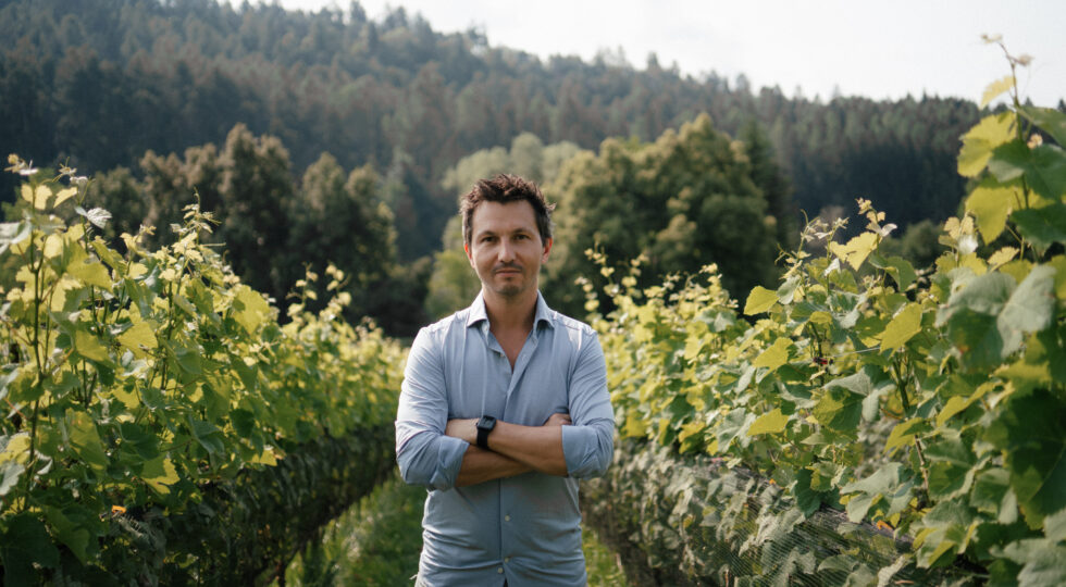Nicola Biasi nuovamente premiato “Cult Oenologist” del Merano Wine Festival 2025