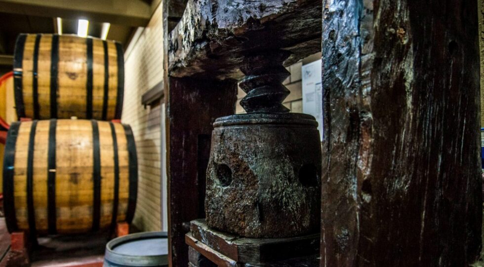 Cresce del 35% il valore della produzione di Cantina Tollo